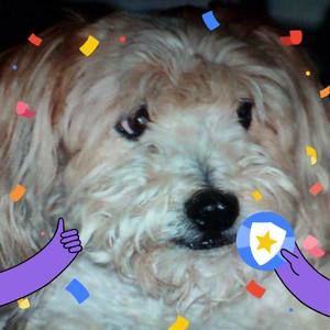 Meet your Posher, Becky